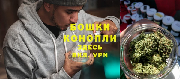 дживик Баксан